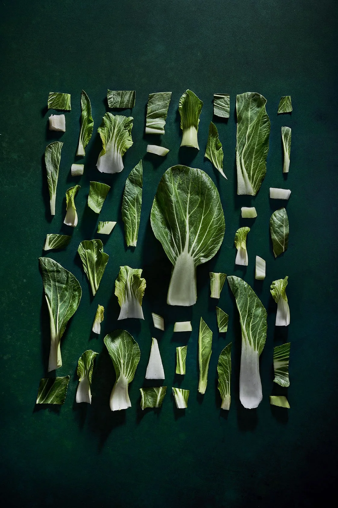 Bokchoy_02.jpg