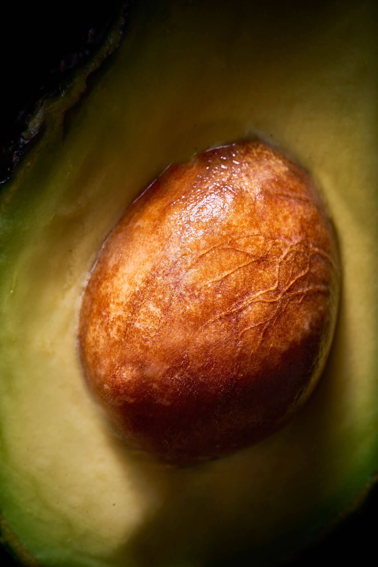 AvocadoMacro.jpg