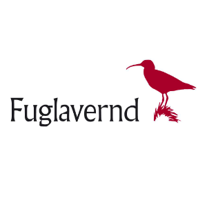 Fuglavernd