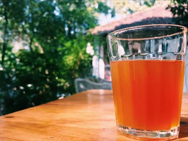 Kombucha