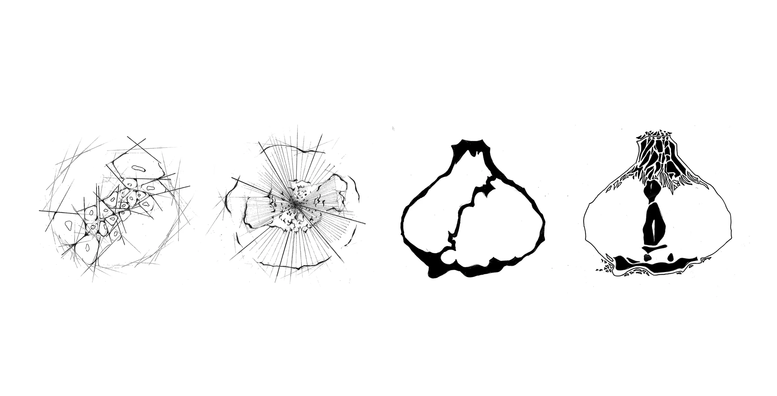 GARLIC DIAGRAMS3.jpg