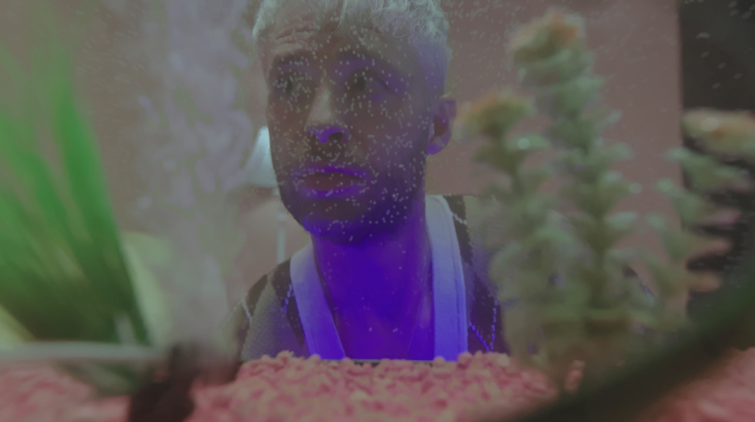 Screen Shot 2022-11-18 at 5.31.35 PM.png