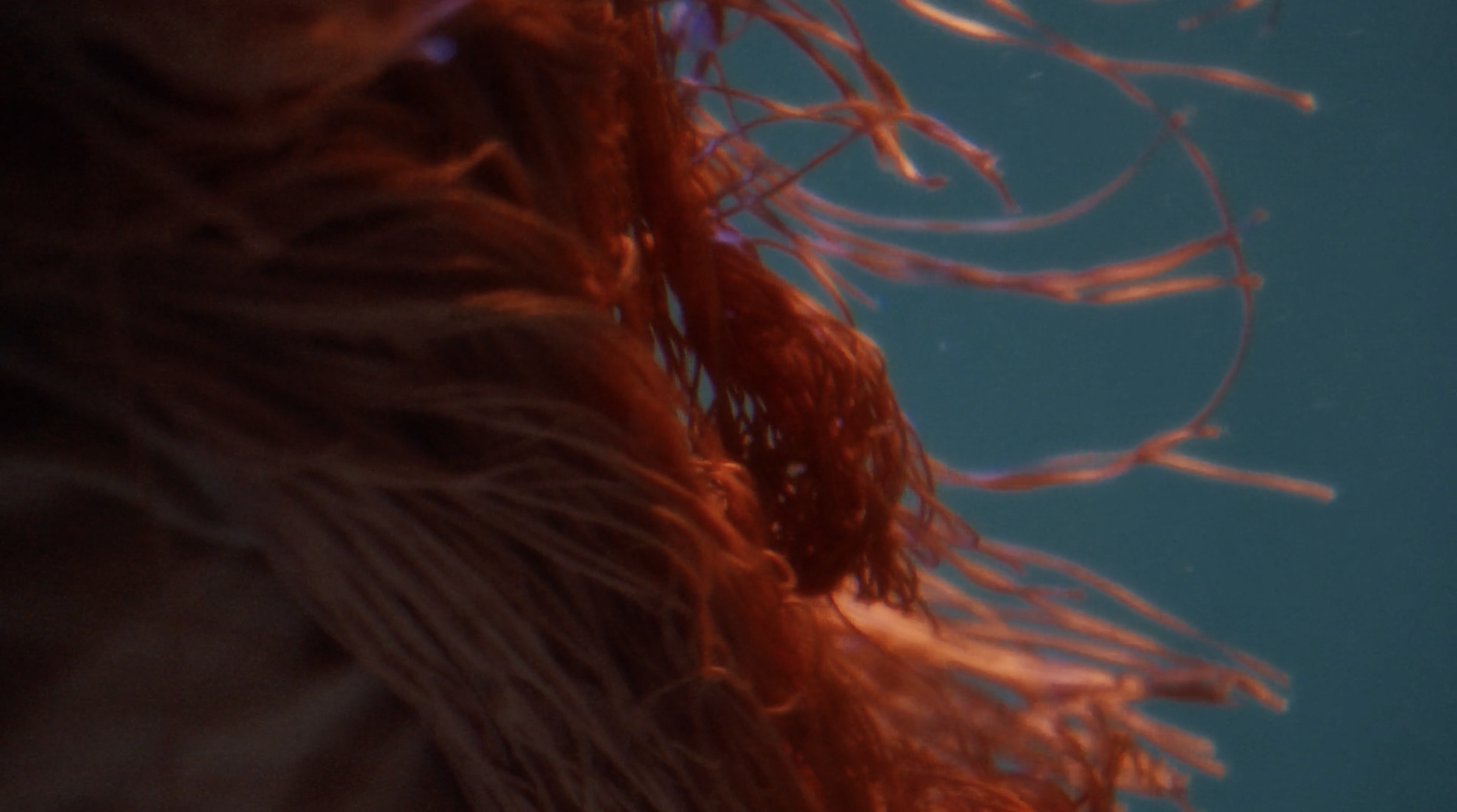 Screen Shot 2024-09-27 at 11.04.14 PM.png