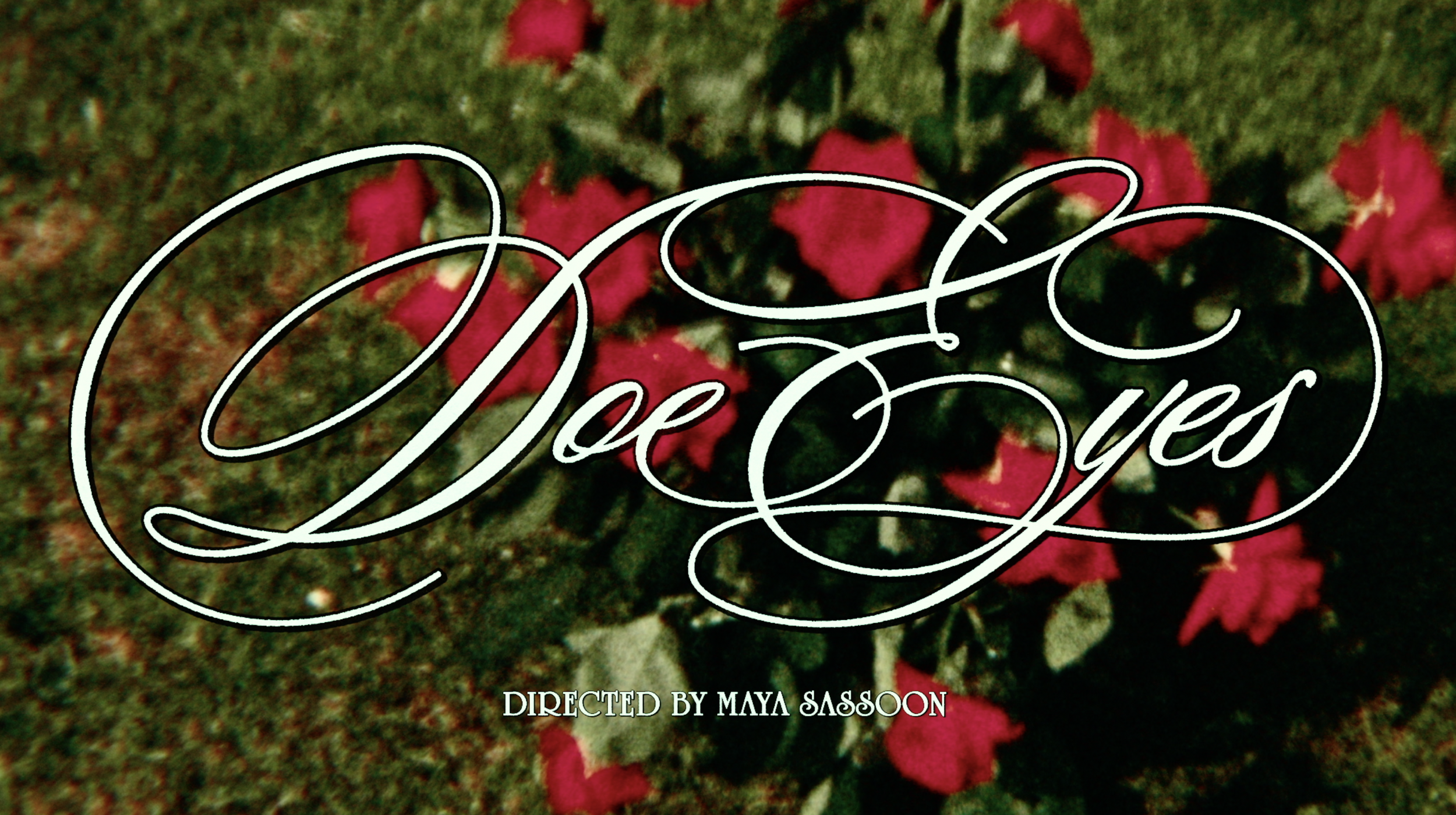 Screen Shot 2025-06-27 at 8.56.36 AM.png