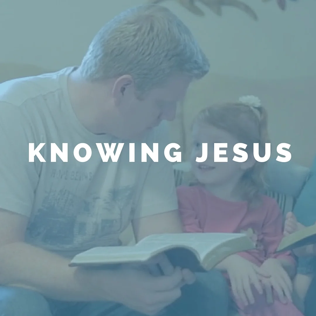 Knowing Jesus: John 1 (Daily Devo)