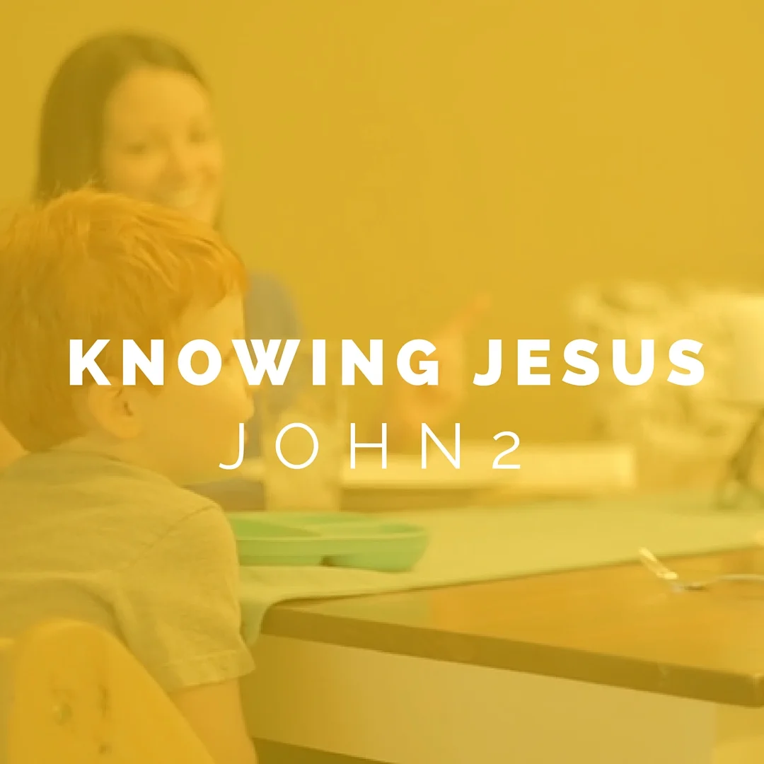 Knowing Jesus: John 2 (Daily Devo)
