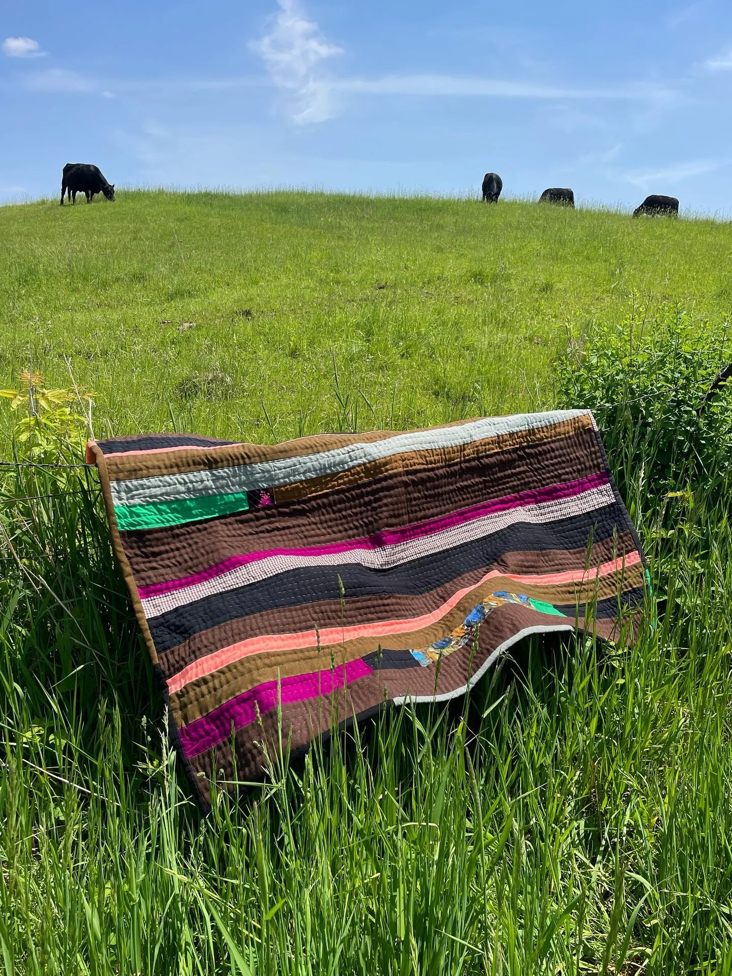 ILLINOIS RESIDENTS - Two minute action to take TODAY to defend our right to boycott &ldquo;Israel&rdquo; - Fill out a witness slip in SUPPORT of HB 2723. 

Posting a few personal photos for the algorithm to try to get extra eyes on this. 🫠🐄

Did yo