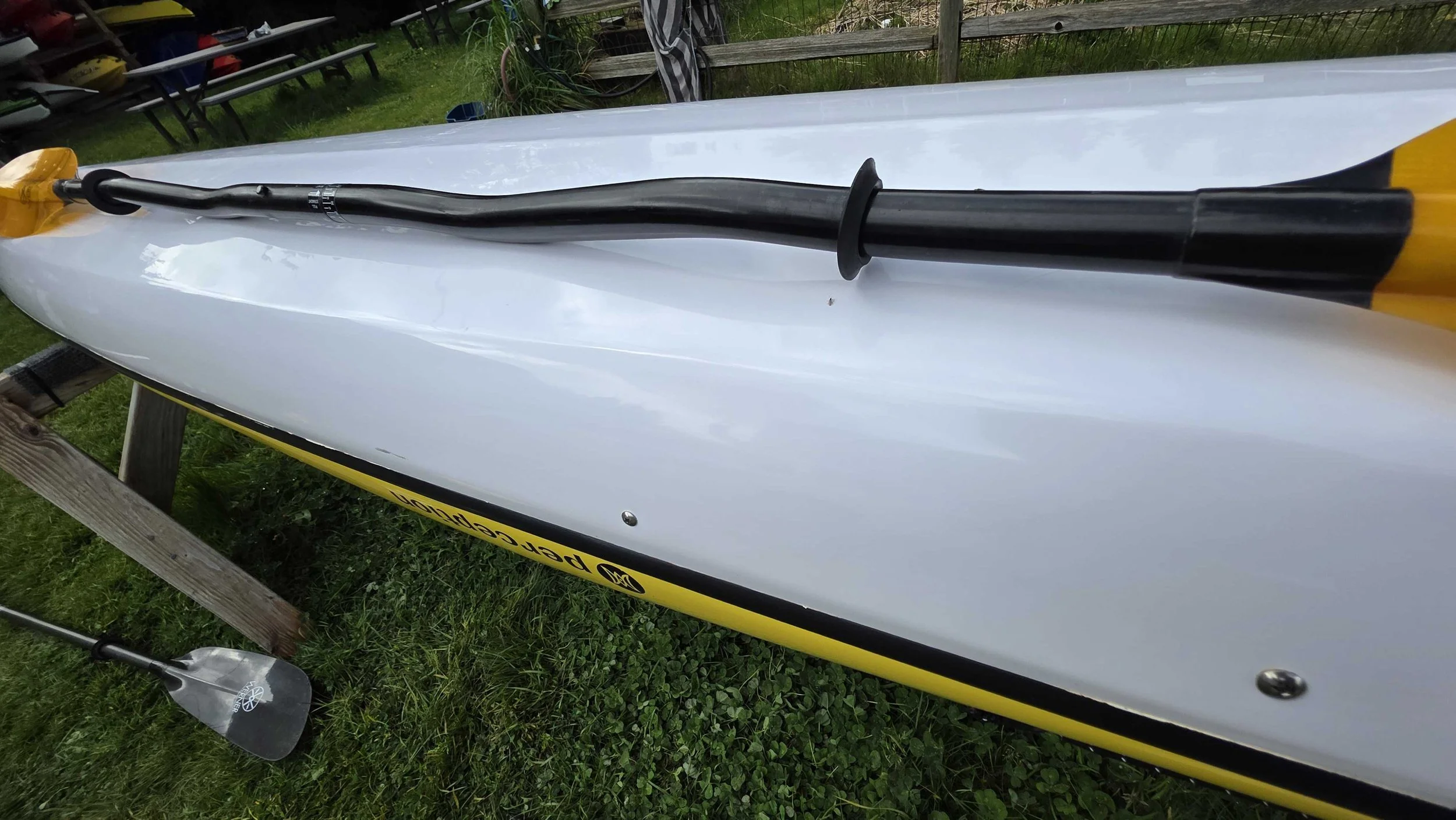 Werner bent closeup.jpg