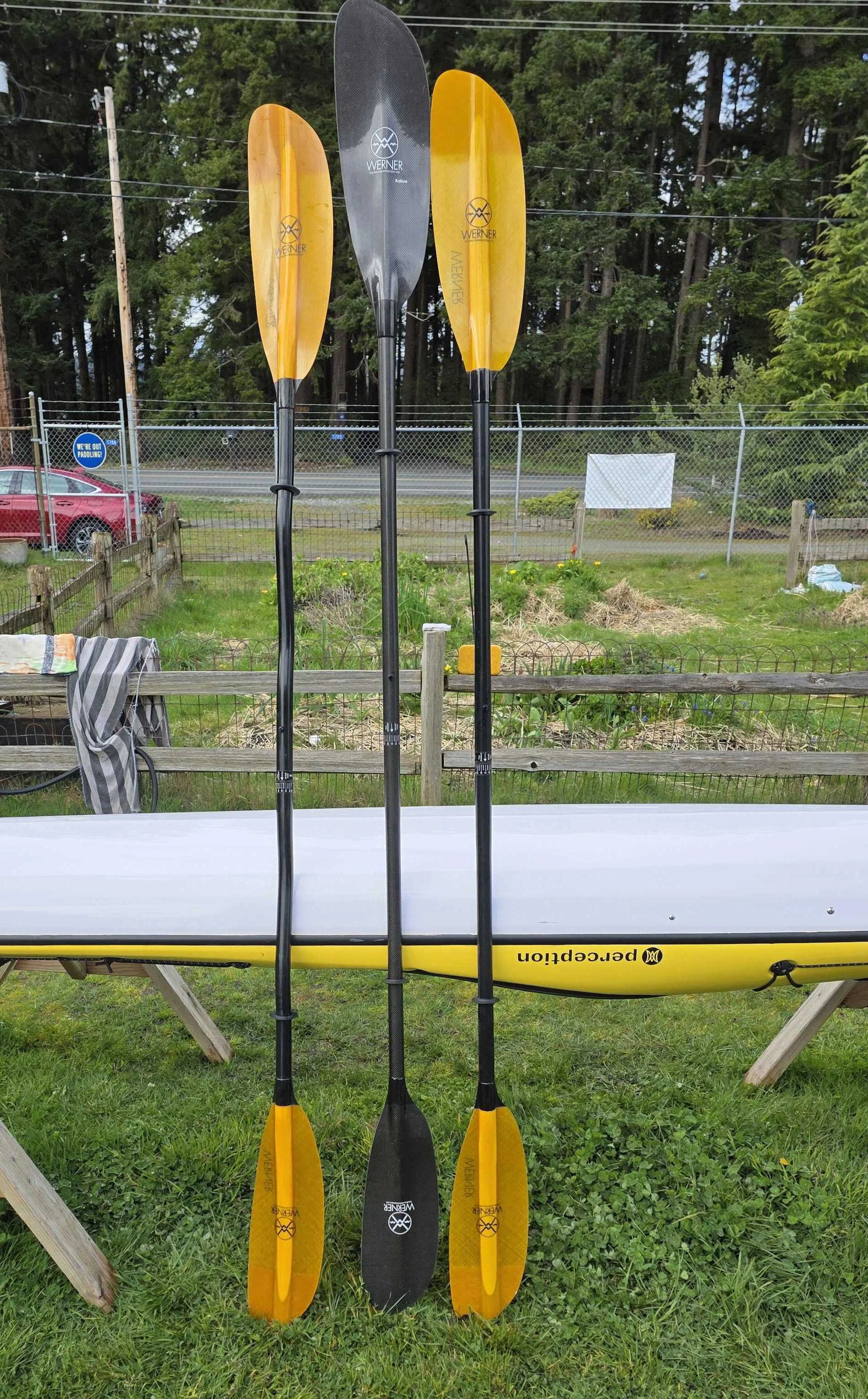 Werner Camano paddles(3).jpg