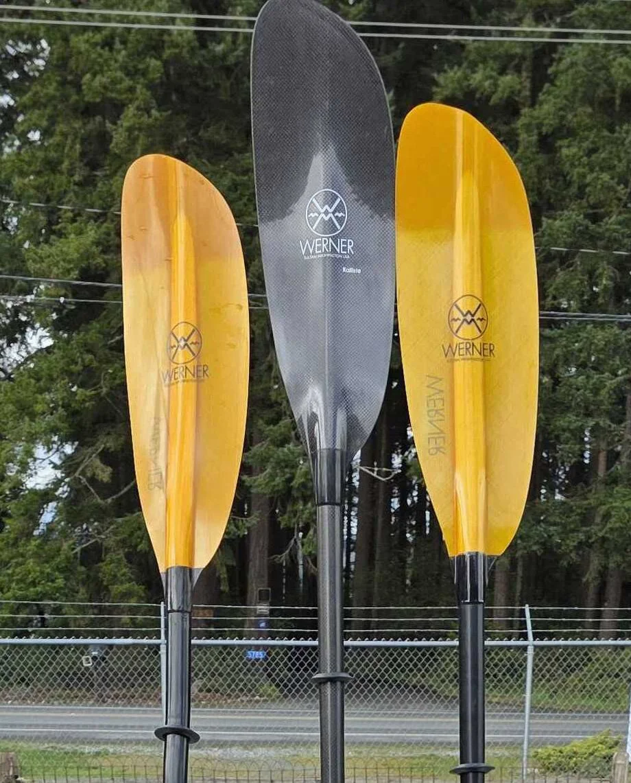 Werner Camano paddles(3-1.jpg