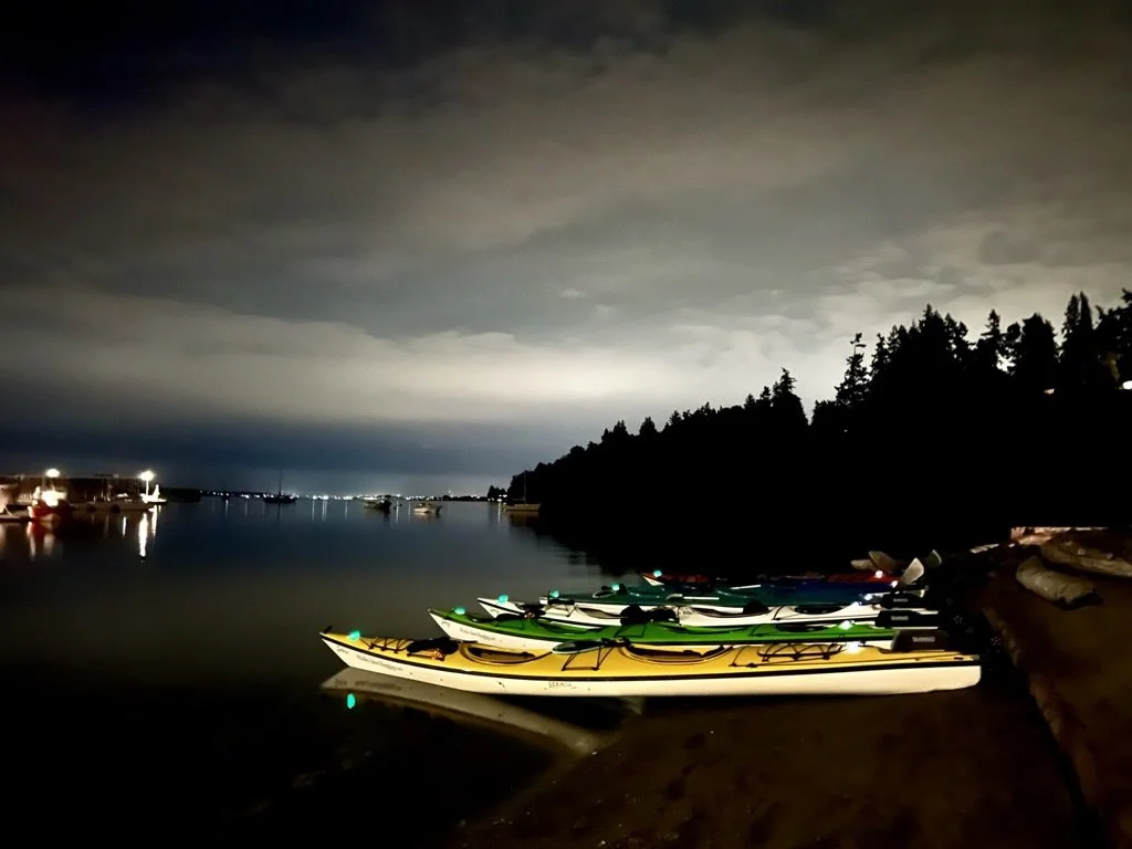 Nighttime bioluminescence kayak tour on the Salish Sea near Whidbey Island