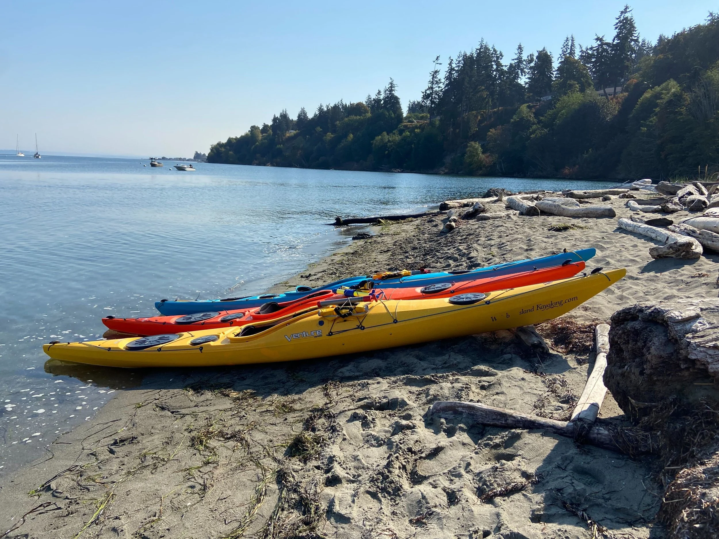 Whidbey Island Kayaking