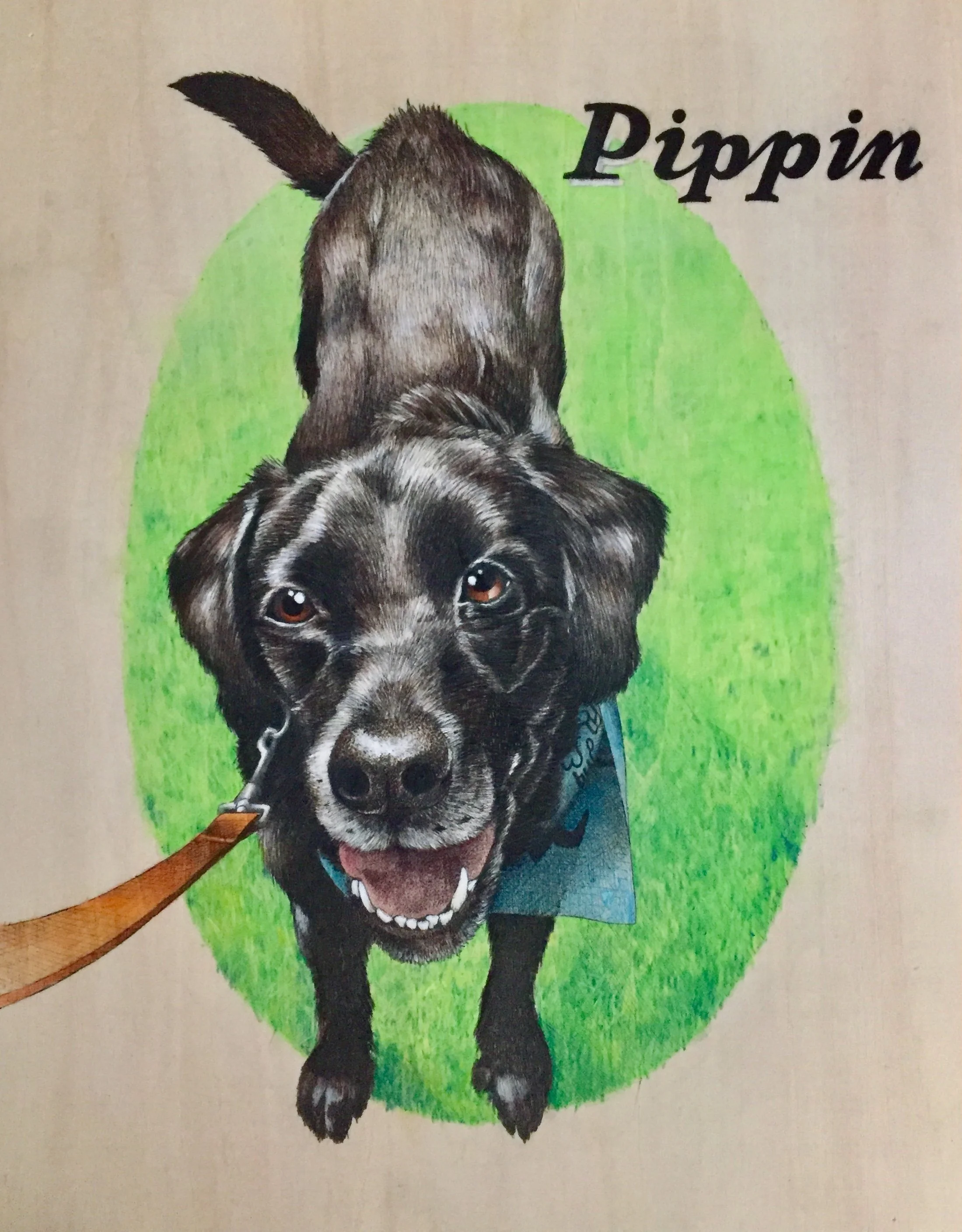 Pippin