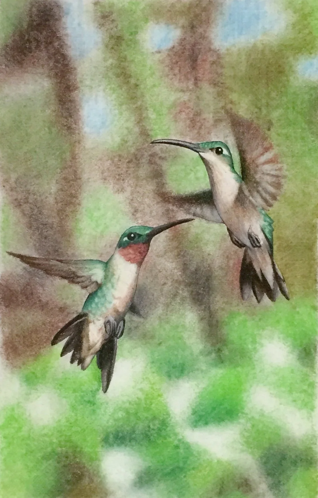 Hummingbirds