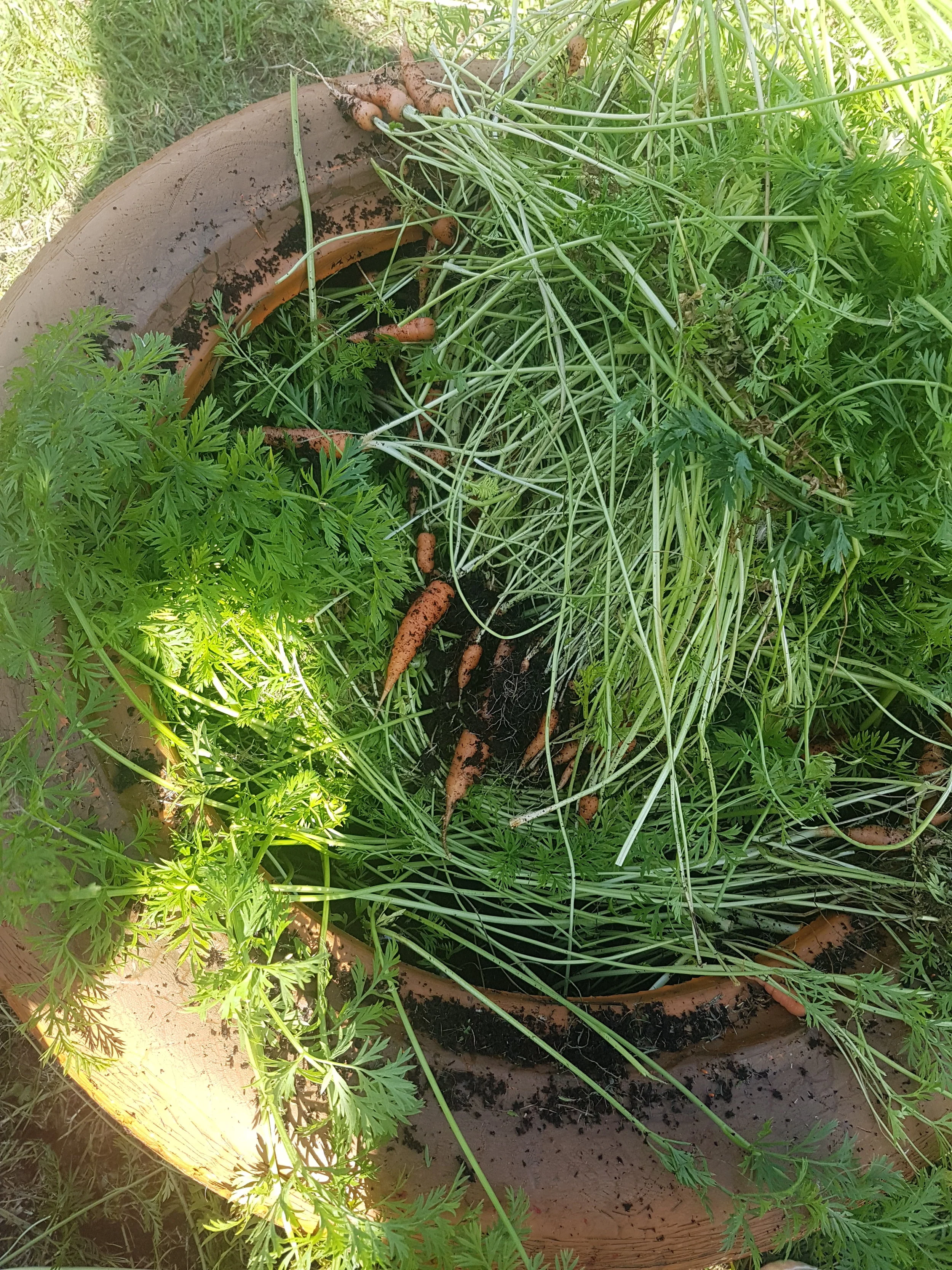 20190904_133914.jpg