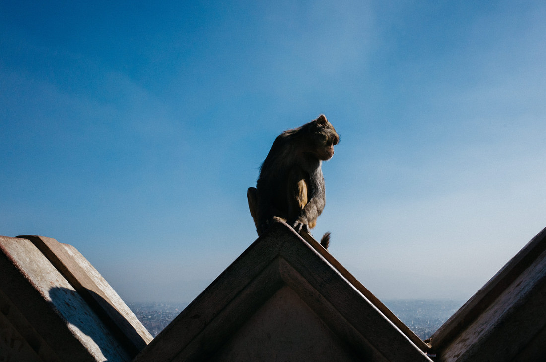 bonjo_abadi_photography_nepal_kathmandu_travel_0039.JPG