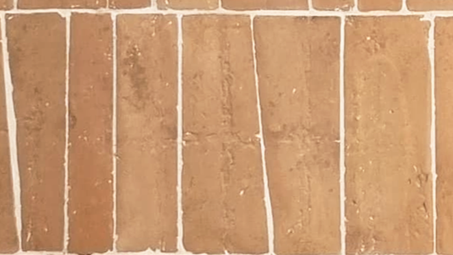 ARGOS NATURAL - MIXED