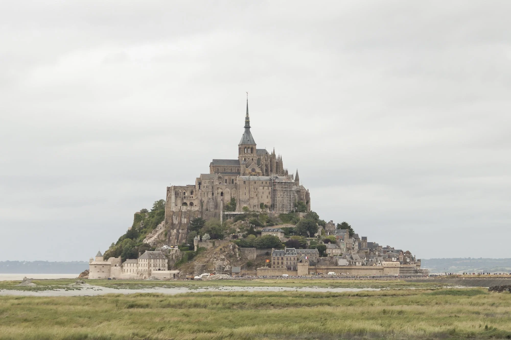 IMG_0141.jpg