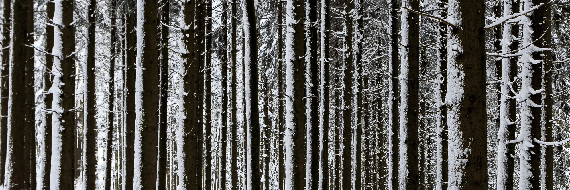 IMG_3243 pano.jpg