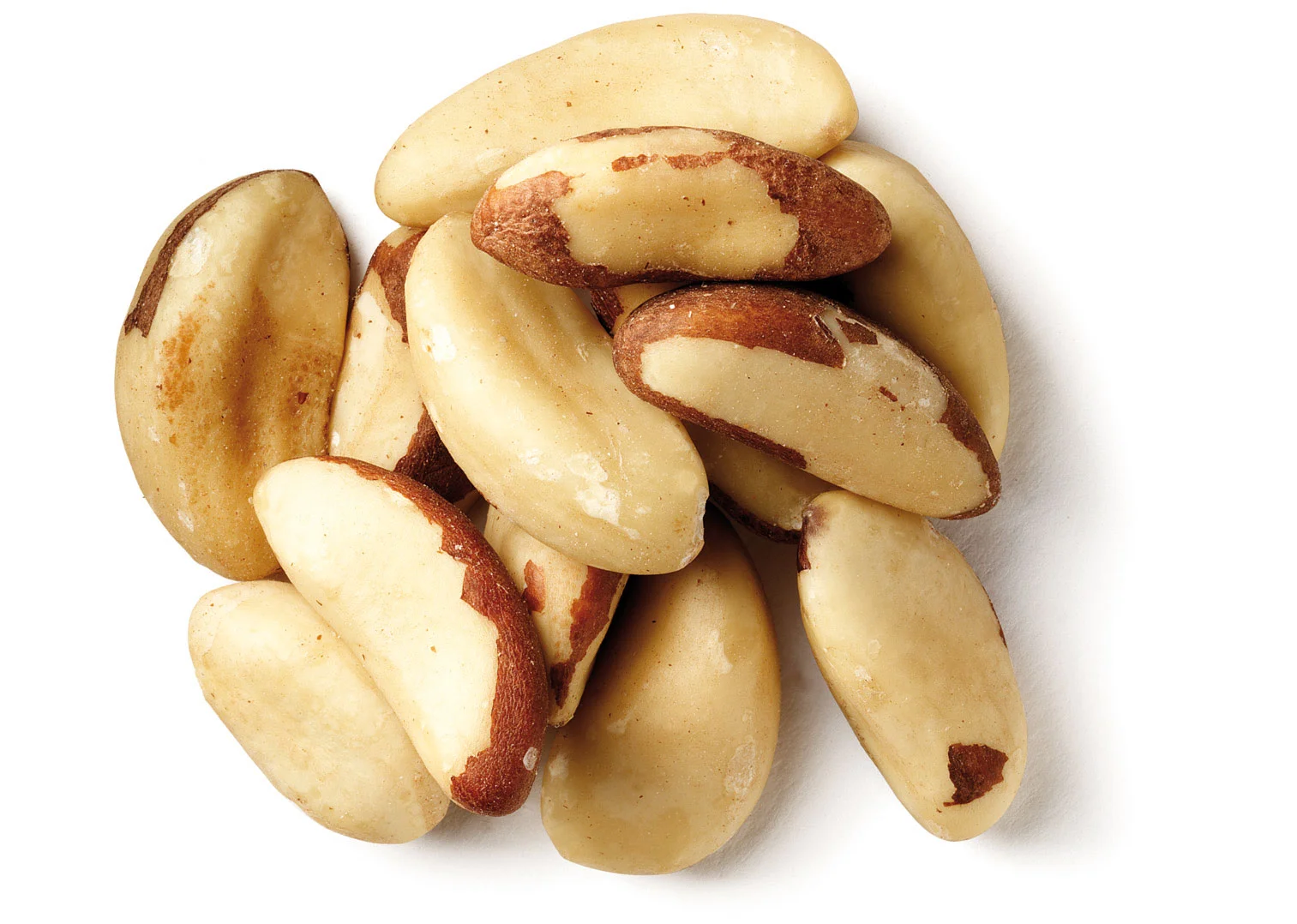 pics of nuts-AsXH.jpg