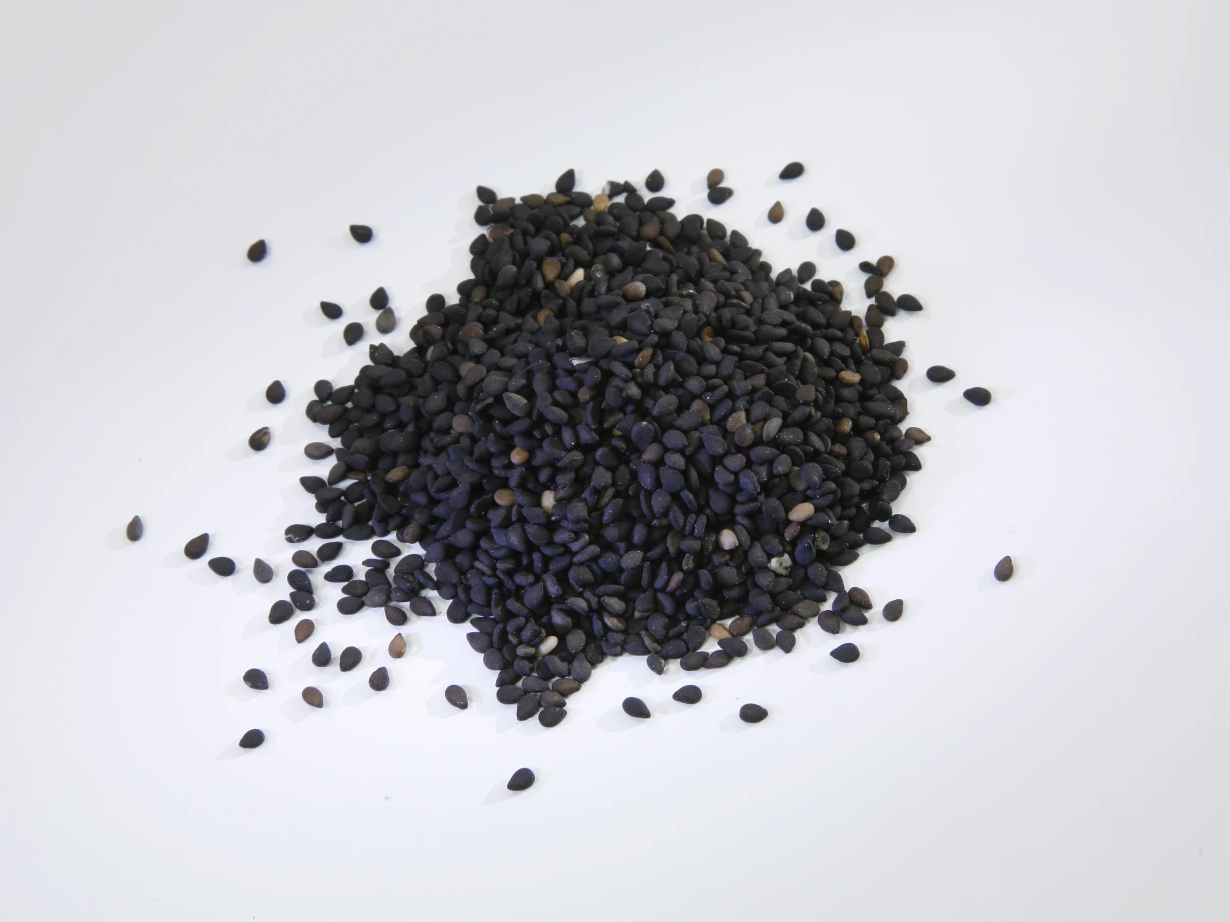 IMG_2022 101.BlackSesameSeed.JPG