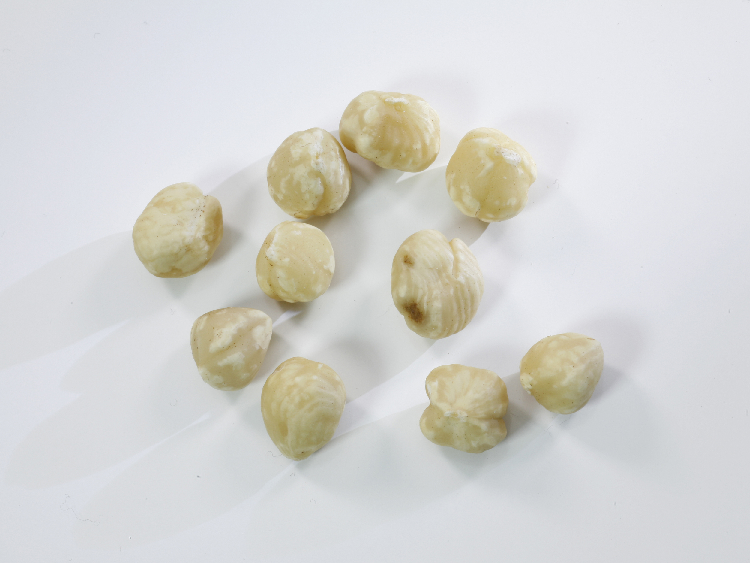 IMG_1945 32. WholeBlanched.JPG