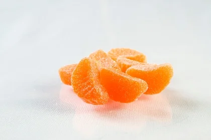 orange-slices-2006_md.jpg