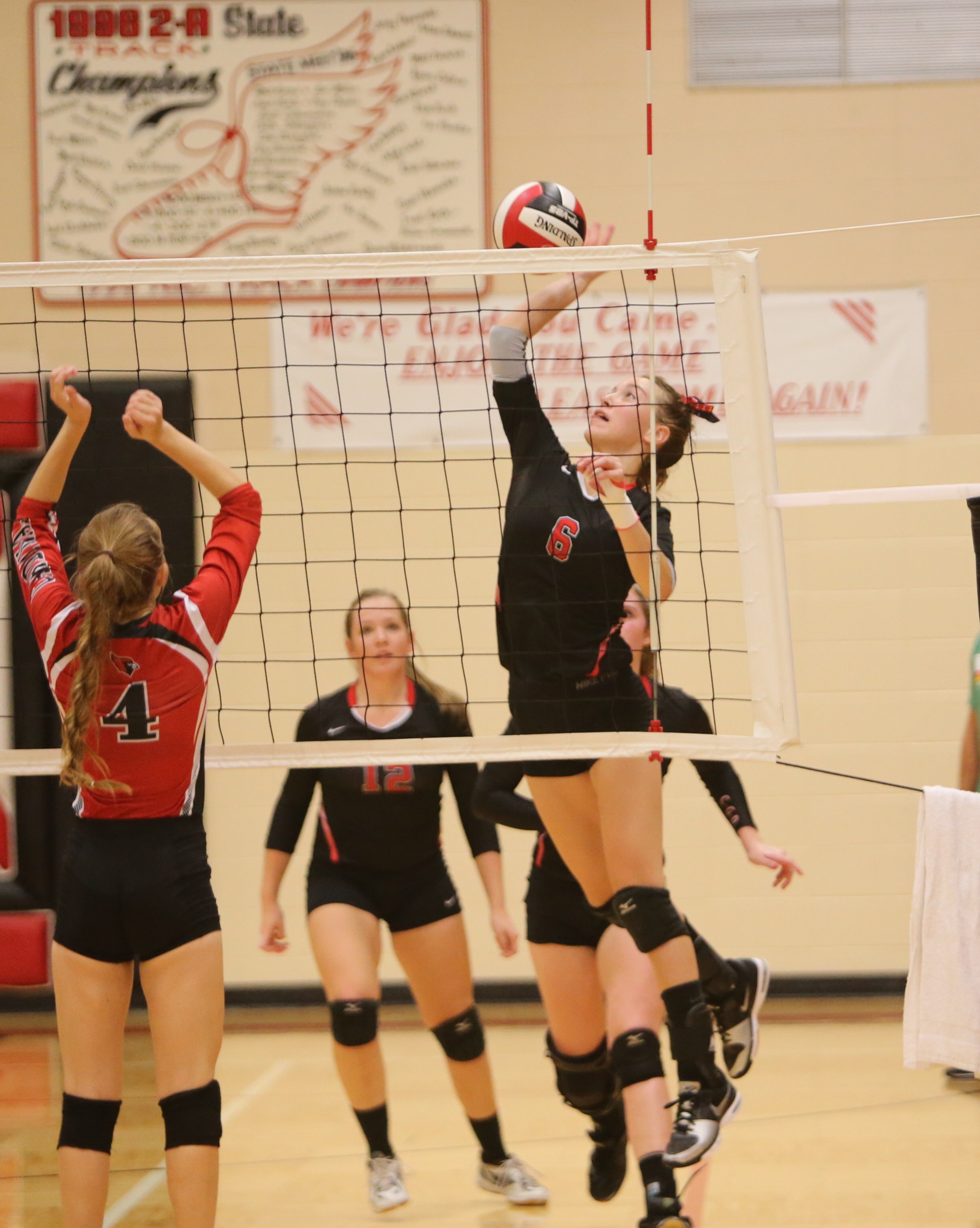Clarion Cowgirls Volleyball - Photo Credit Wright County Monitor