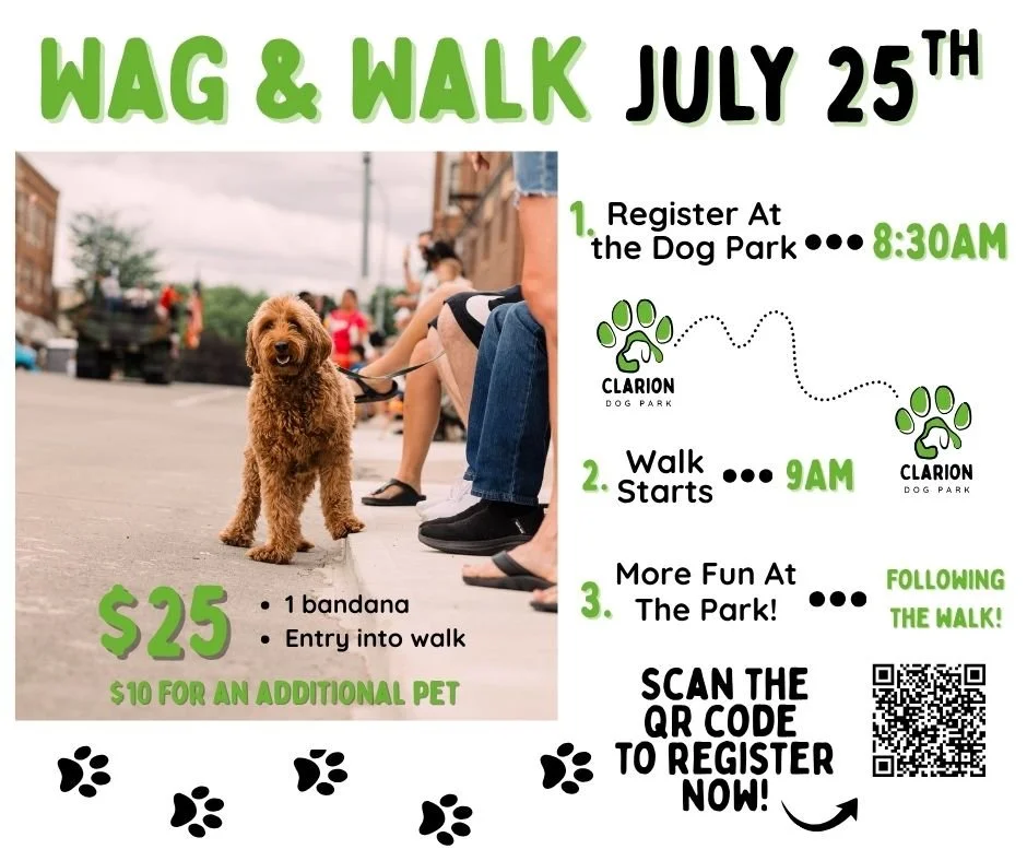 Wag & Walk (3).jpg