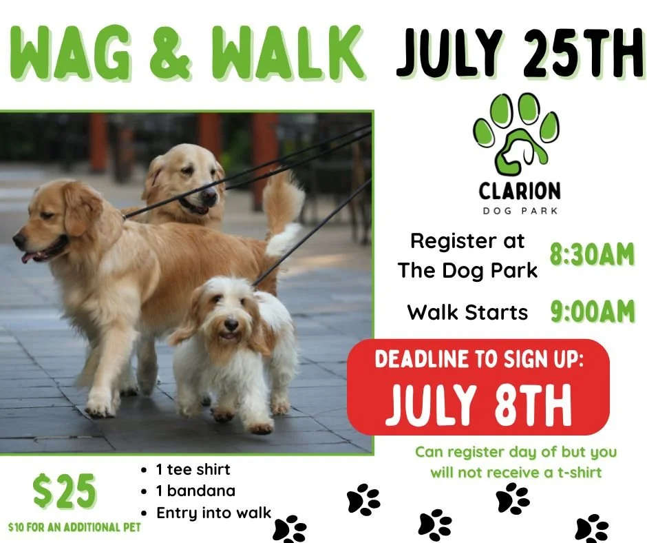 Wag & Walk (2).jpg