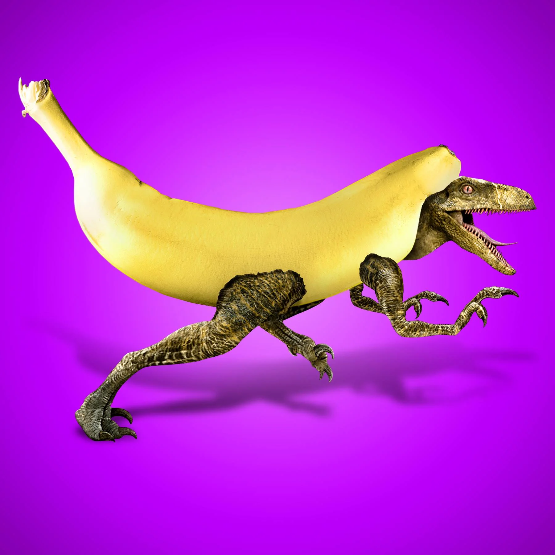 17358975_10154328914901889_6860195532806075727_o.jpg