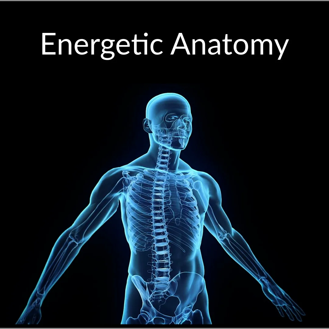 energeticanatomy_3_original.jpg