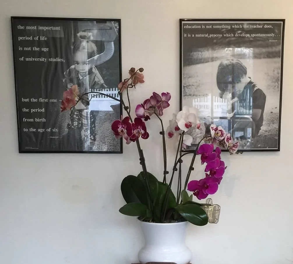 Echoes Sentinel: LHMS Under New Ownership