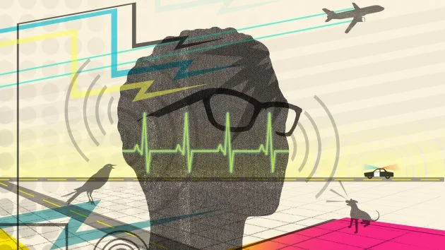 Is Your Noisy Neighborhood Slowly Killing You?