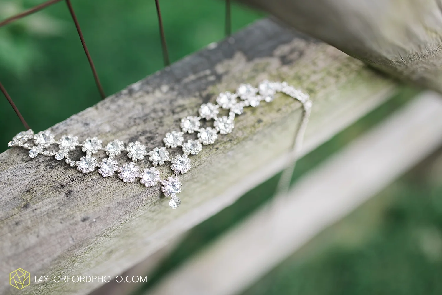 toledo_ohio_wedding_photographer_taylor_ford_photo3.jpg