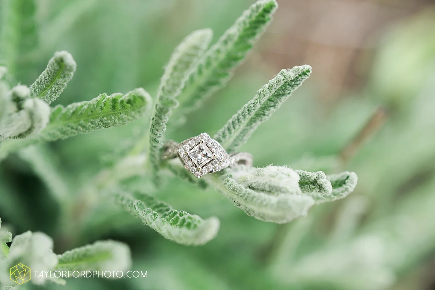van-wert-lima-northwest-ohio-engagement-wedding-photographer-taylor-ford-photography-willow-bend-golf-course_1839.jpg