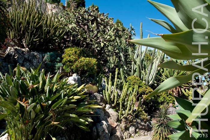monaco_gardens.jpg