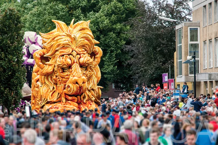 corso8.jpg