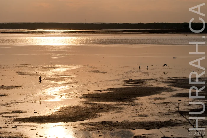 Canada,+Saltscapes,+Bathurst,+New+Brunswick,+Nature,+Daly+Point,+Bay+of+Chaleur,+HurraH,+Andrew+Herygers-6.jpg