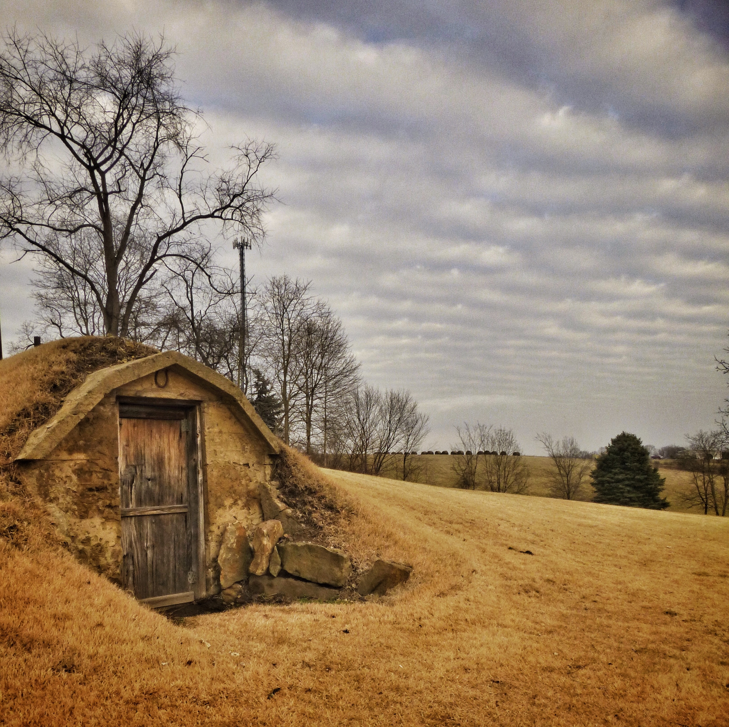 Root Cellar