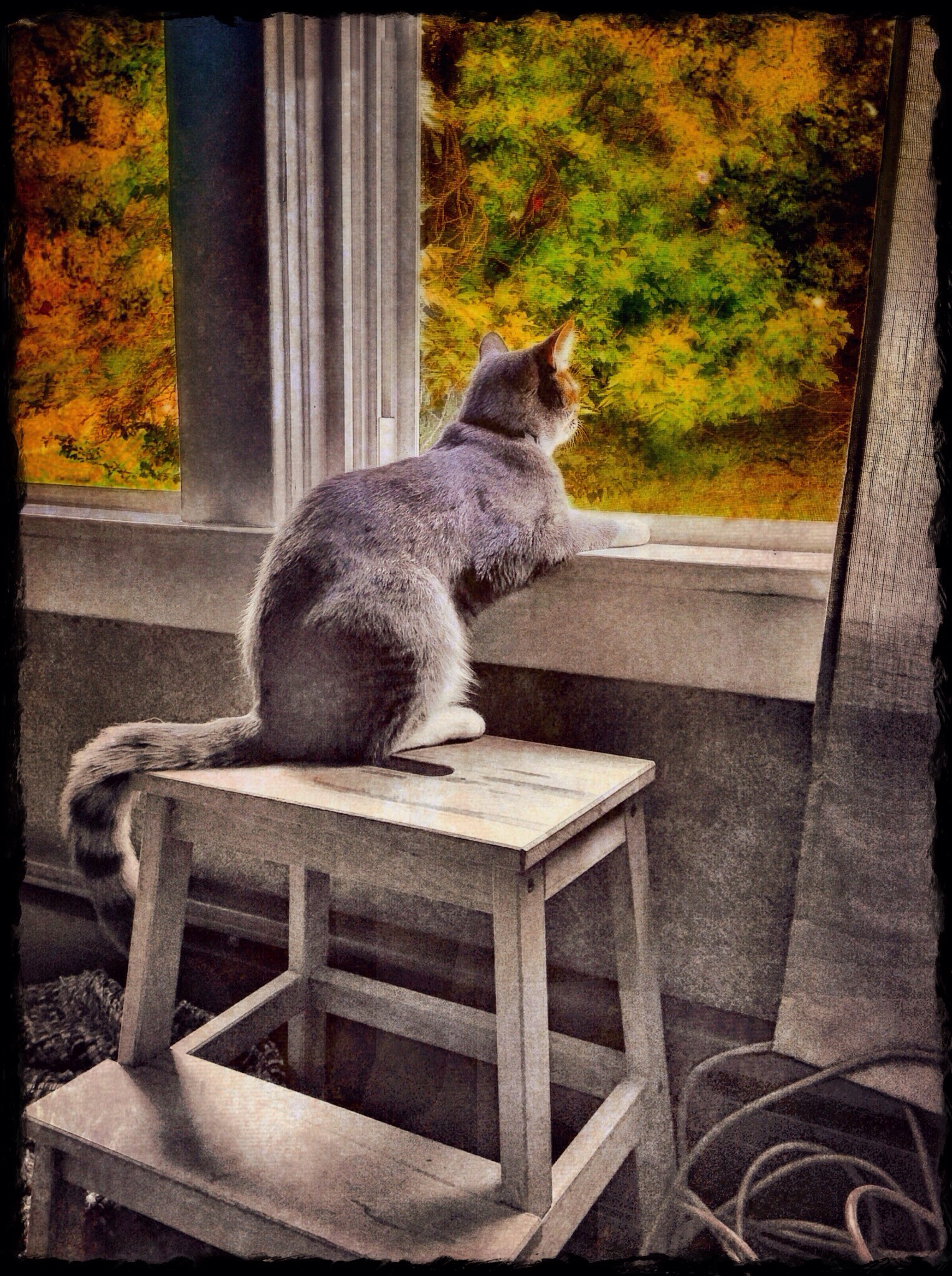 Birdwatching