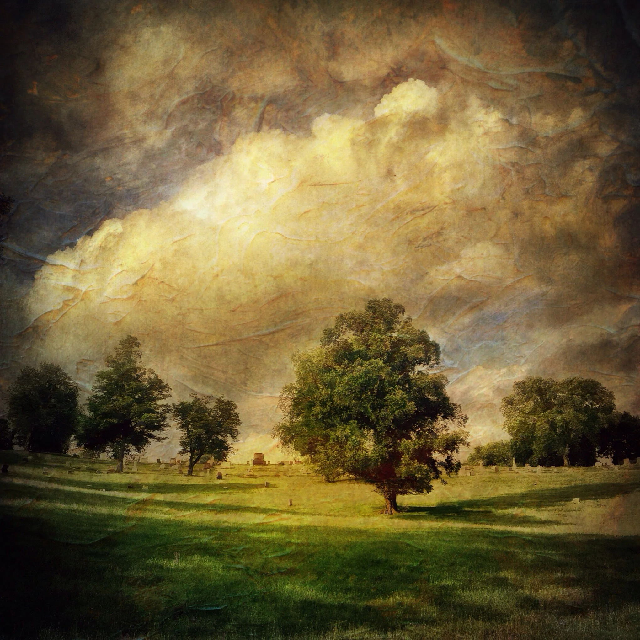 Summer Trees, Calvary Cemetery