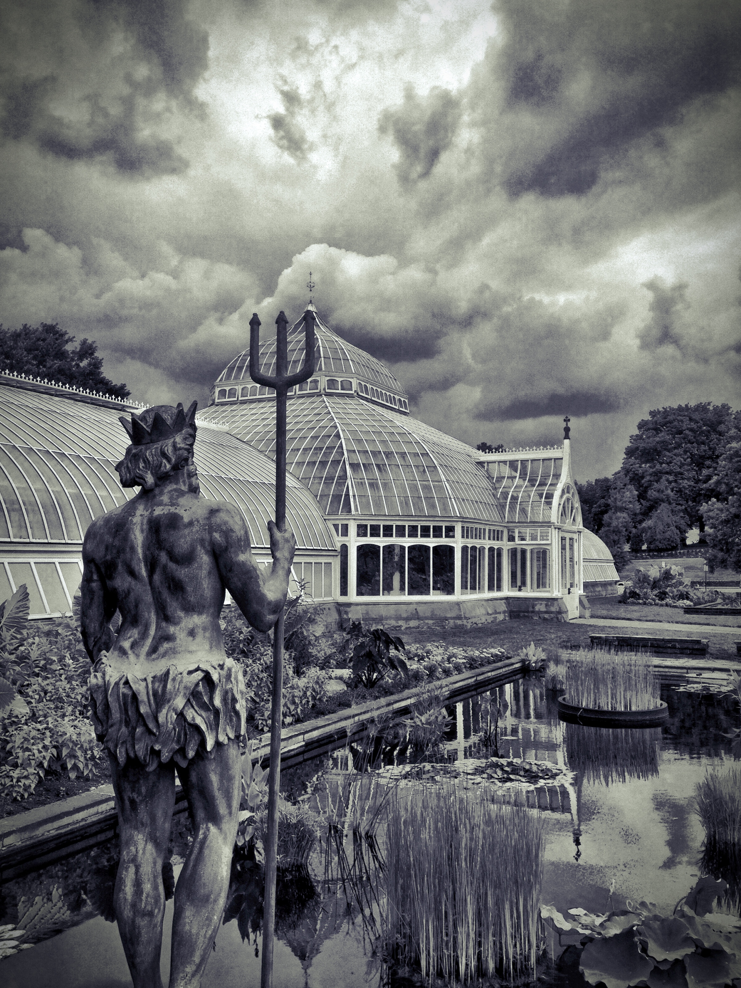 Neptune's Pond, Phipps Conservatory