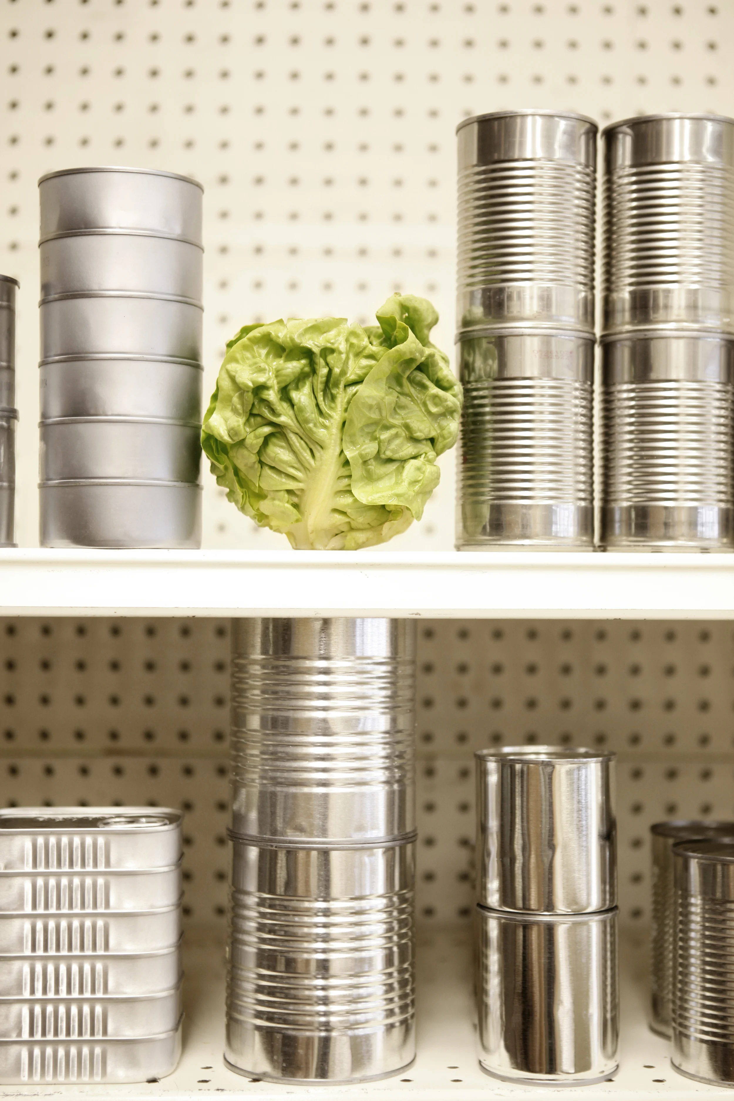 produce illustration 1591.jpg