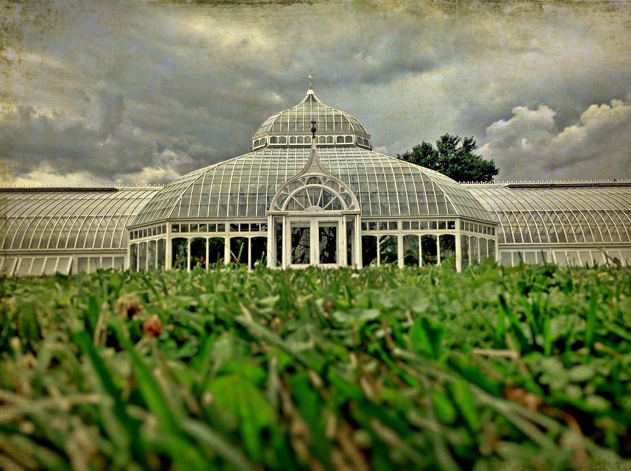 Phipps Conservatory, Pittsburgh, PA. 