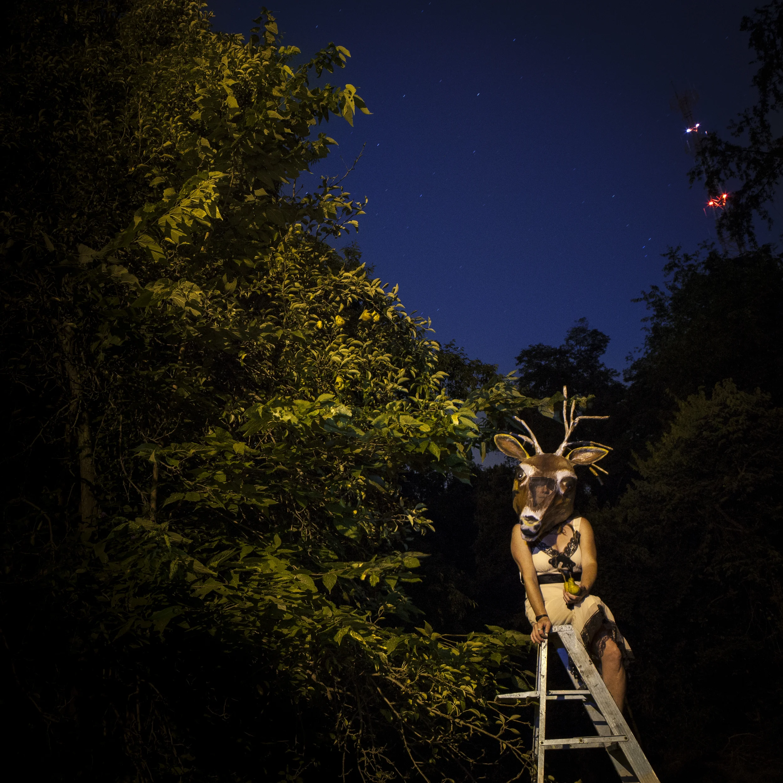 Self-Portrait as Deer with Pear Tree