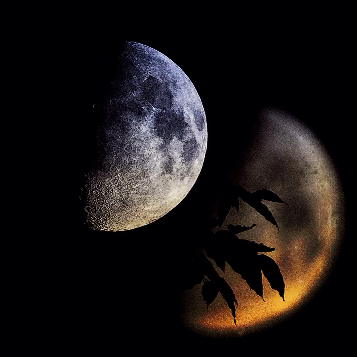 Moon Over Hazelwood