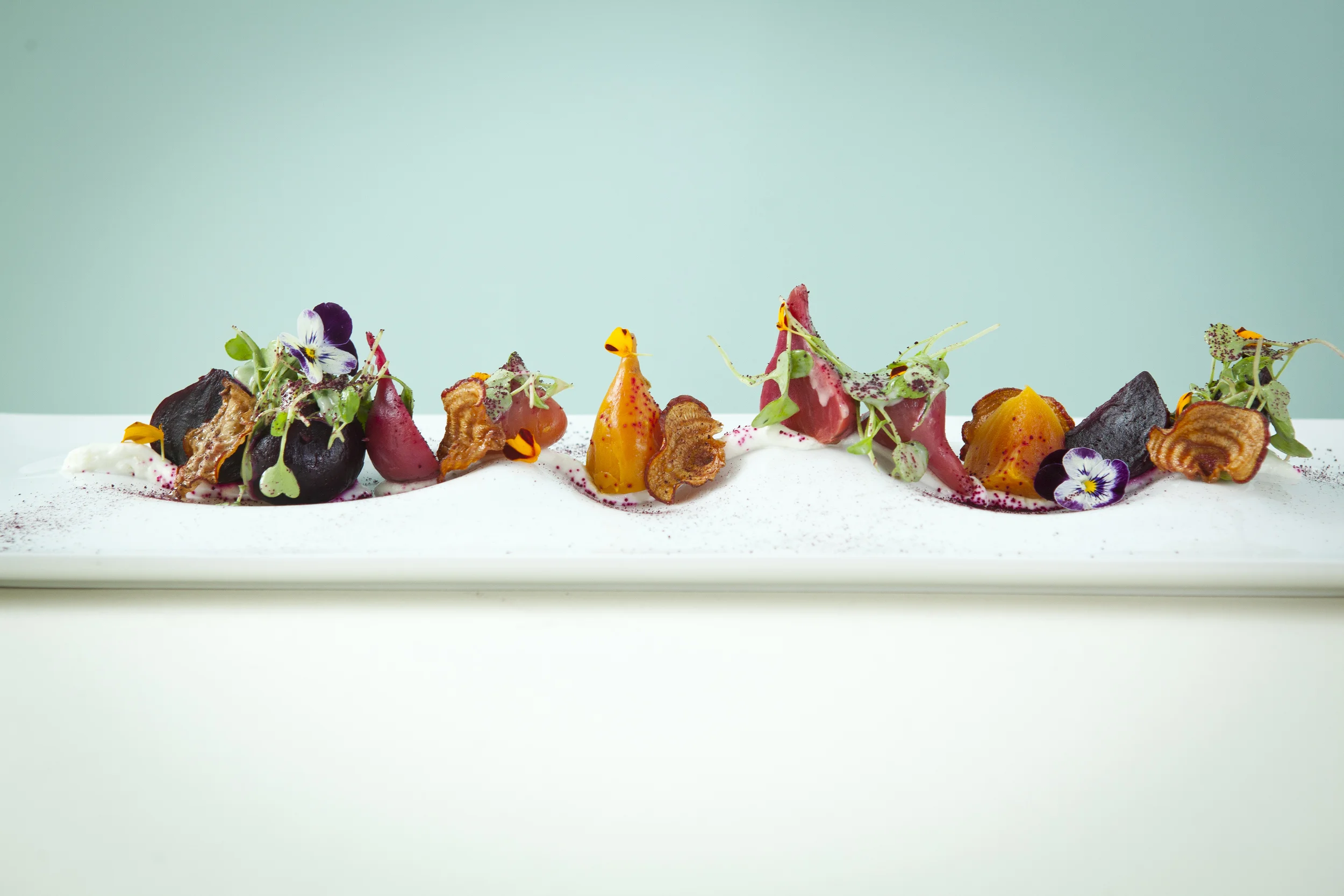 Twisted Frenchman play on beets 9659.jpg