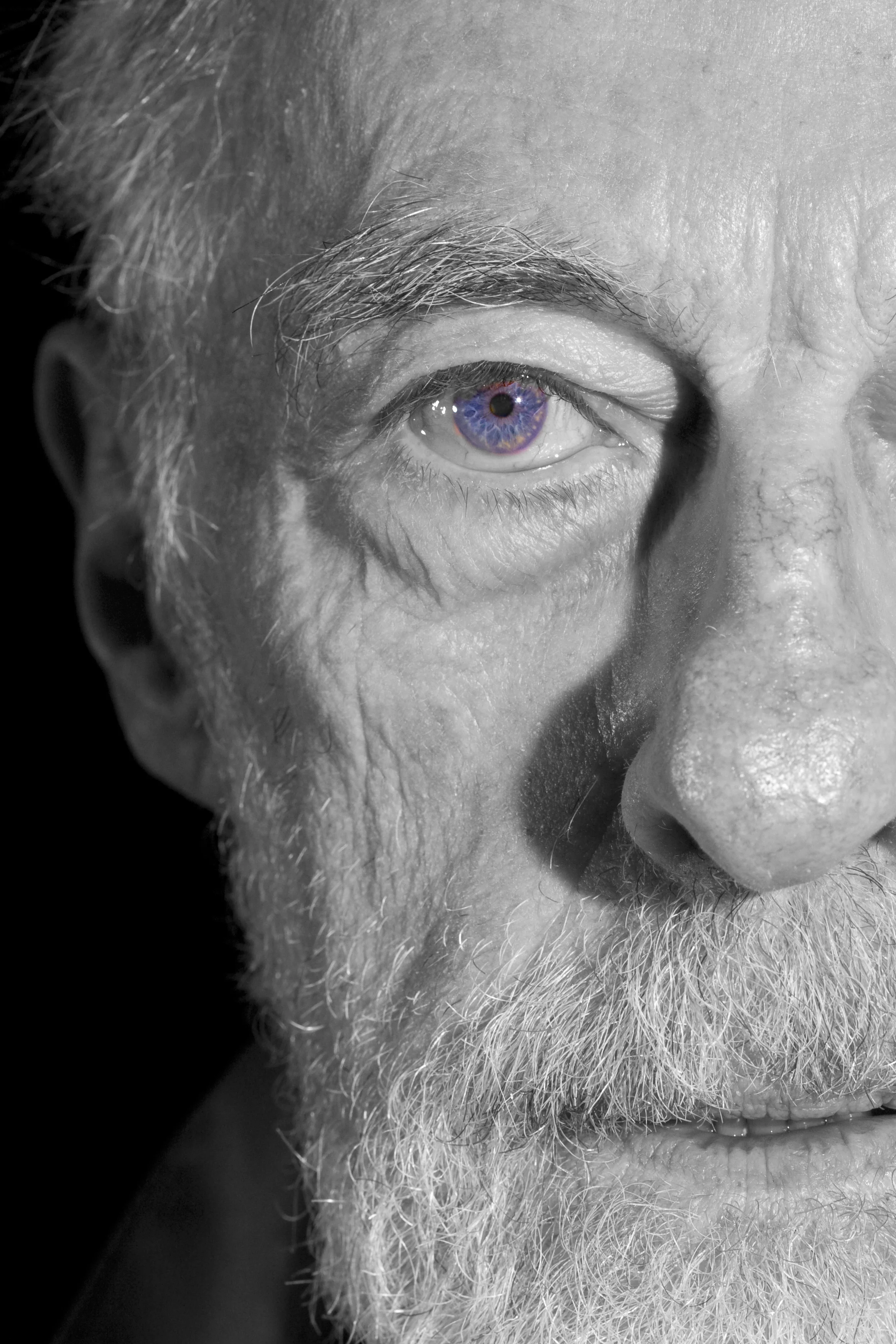 Actor Bingo O'Malley