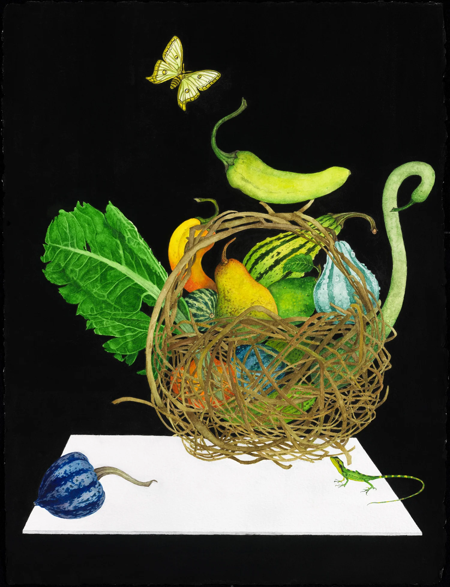 Laemantus Longipes and Graellsia Isabellae